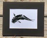 Cobia  Gyotaku Print