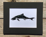 Cobia  Gyotaku Print