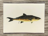Cobia Gyotaku Greeting Cards