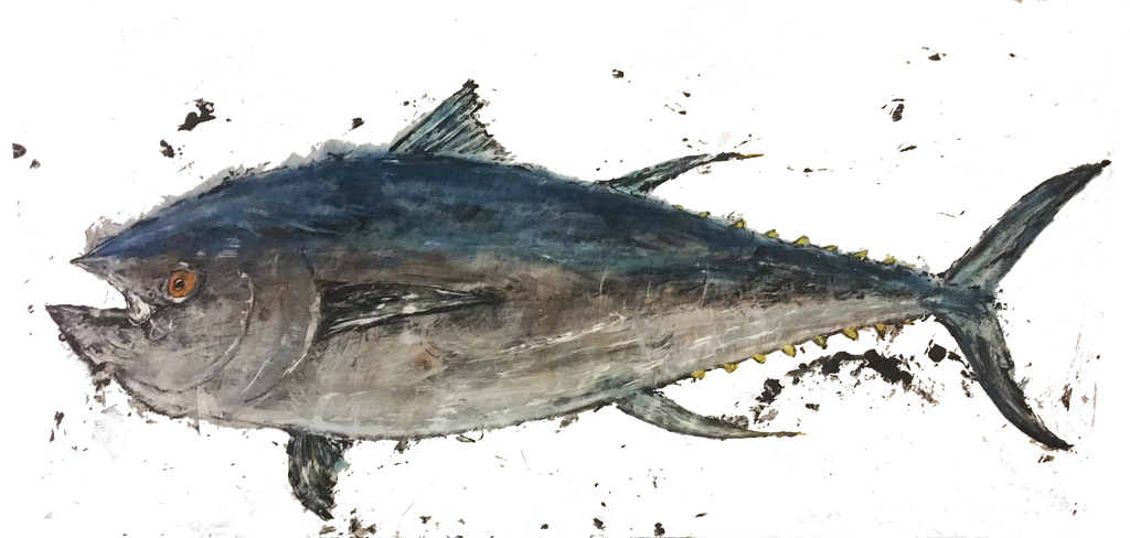 502 pound Bluefin Tuna caught on the "Done Deal" during The Wharf's Orange Beach Billfish Classic