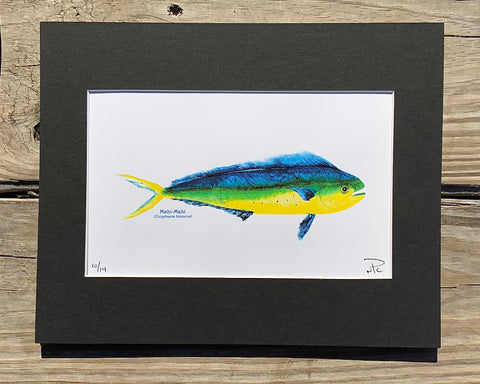 Mahi Gyotaku Fish Print