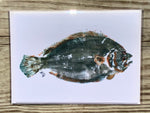 Flounder Gyotaku Cards