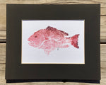 Snapper Gyotaku Fish Print