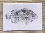 Tripletail Gyotaku Cards