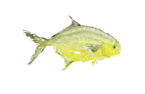 Pompano Gyotaku Fish Print